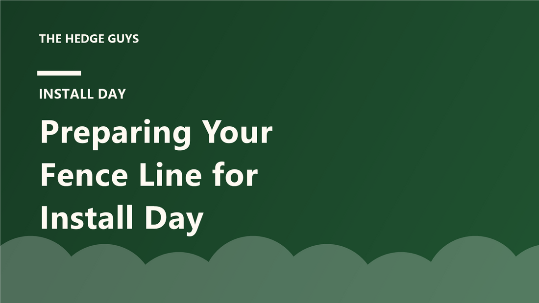 Cover image: preparing your fence line for hedge install day