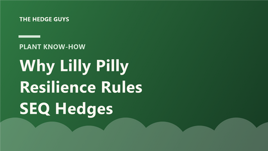Cover image: why Lilly Pilly Resilience rules SEQ hedges