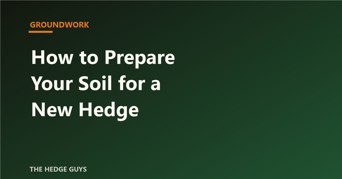 Groundwork: How to Prepare Your Soil for a New Hedge