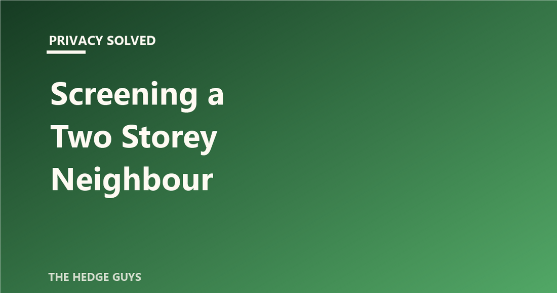 Privacy Solved: Screening a Two Storey Neighbour