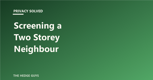Privacy Solved: Screening a Two Storey Neighbour