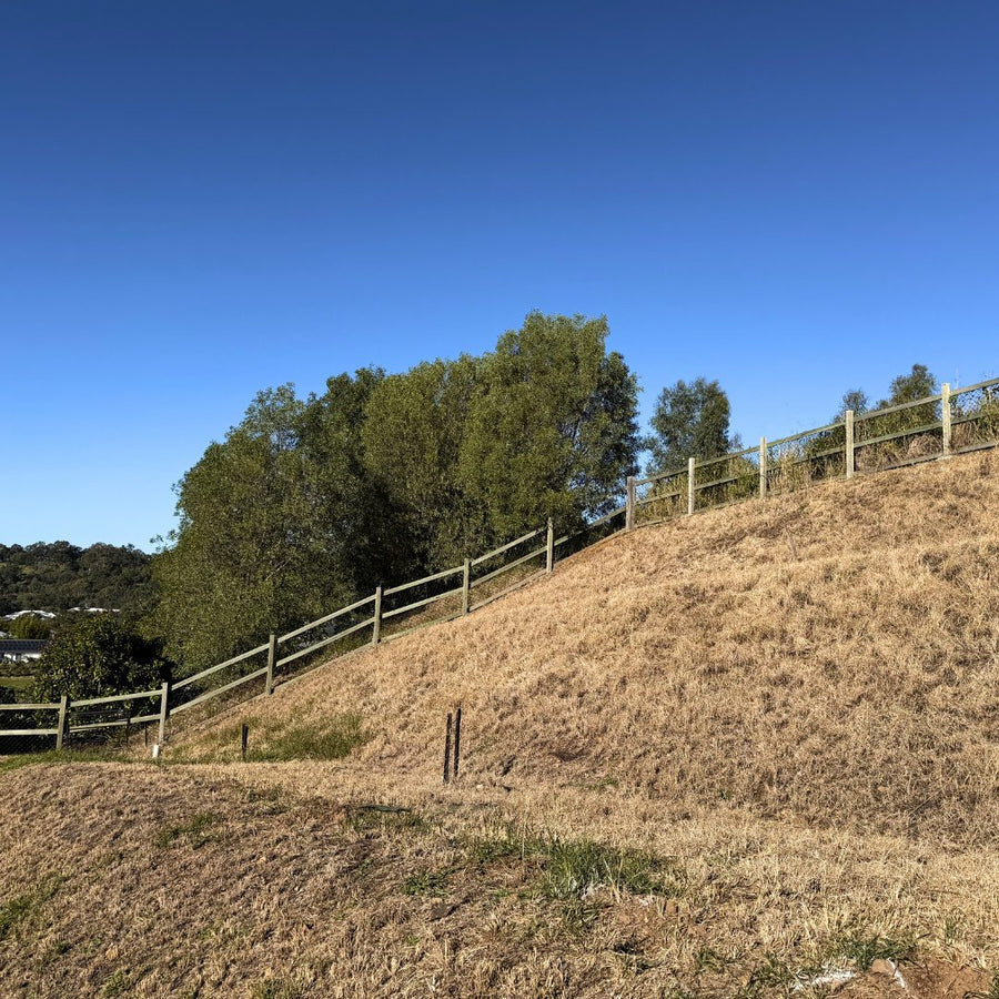 Before: an acreage slope before and after screening trees were planted
