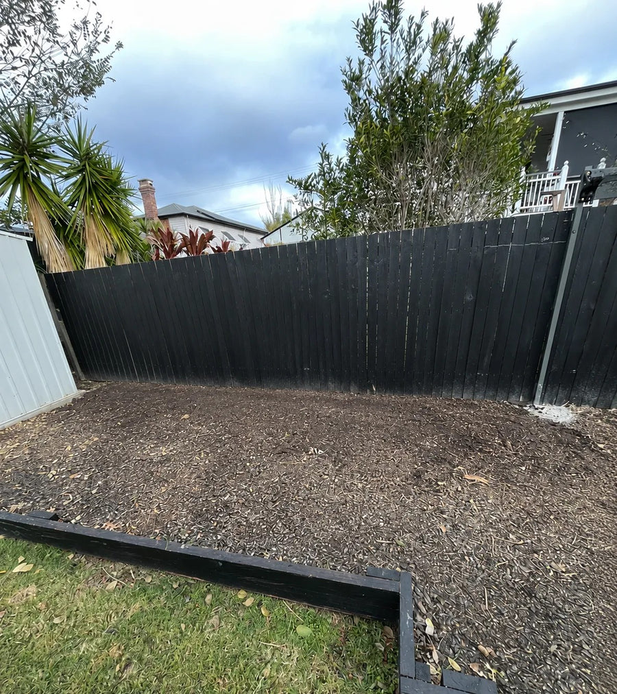 Before: Empty garden bed along a black timber fence transformed into a lush courtyard hedge screen
